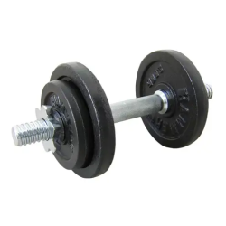 Dumbbellset 30 mm 10 kg