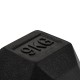 https://www.hammer.de/de-en/media/catalog/product/h/e/hexagon-hantelscheiben-a_-neu-en.jpg?optimize=medium&bg-color=255,255,255&fit=bounds&height=&width= https://www.hammer.de/de-en/media/catalog/product/h/e/hexagon-hantelscheiben-a_-neu-en.jpg?optimize=medium&bg-color=255,255,255&fit=bounds&height=&width=