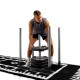 https://www.hammer.de/de-en/media/catalog/product/1/7/17901_bumper-plate-competition-model-01_2.jpg?optimize=medium&bg-color=255,255,255&fit=bounds&height=&width=