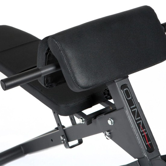 https://www.hammer.de/de-en/media/catalog/product/3/8/3869-finnlo-bauchtrainer-rueckentrainer-ab-and-backtrainer_01_2.jpg?optimize=medium&bg-color=255,255,255&fit=bounds&height=&width=