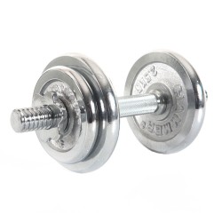 Dumbbellset Chroom 30 mm 10 kg