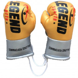 Legend Mini Bokshandschoenen - Goud/Geel