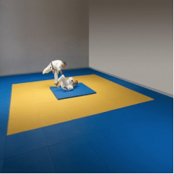 Judomatten 1x1 meter - Judomat Judomatten 1x1 meter - Judomat