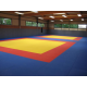 Judomatten 2x1 meter - Judomat