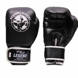 Bokshandschoenen Remy Bonjasky Legend zwart - Maat: 10oz