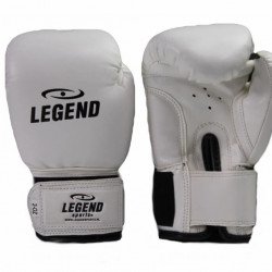 1-5 jaar Bokshandschoenen kind 2OZ Wit - Maat: 2oz