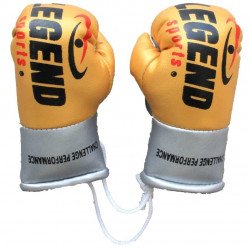 Legend Mini Bokshandschoenen - Zwart