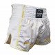 Kickboks broekje gold/white Legend Trendy  - Maat: XXL
