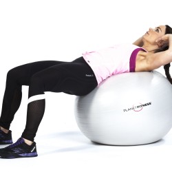 Planet Fitness Gymbal Planet Fitness Gymbal